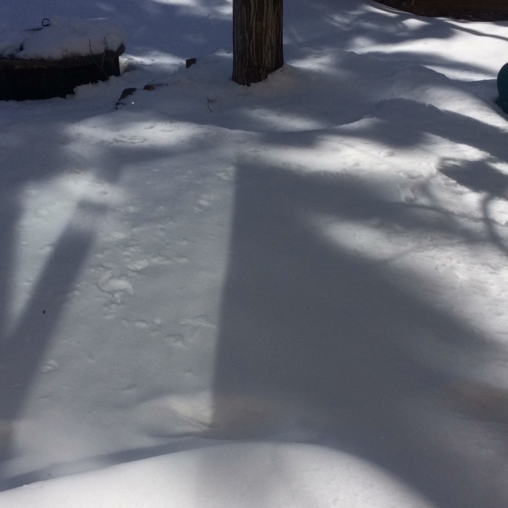 Snow